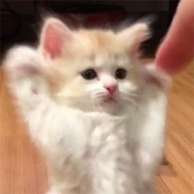 James Go 的头像